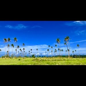 Meet your Posher, Krystal